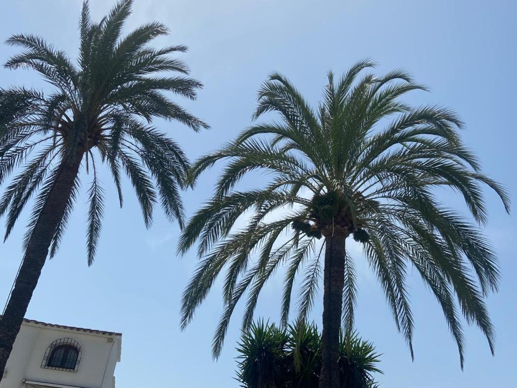 Apartamento Urb Oasis Park II Denia, Las Marinas Extérieur photo